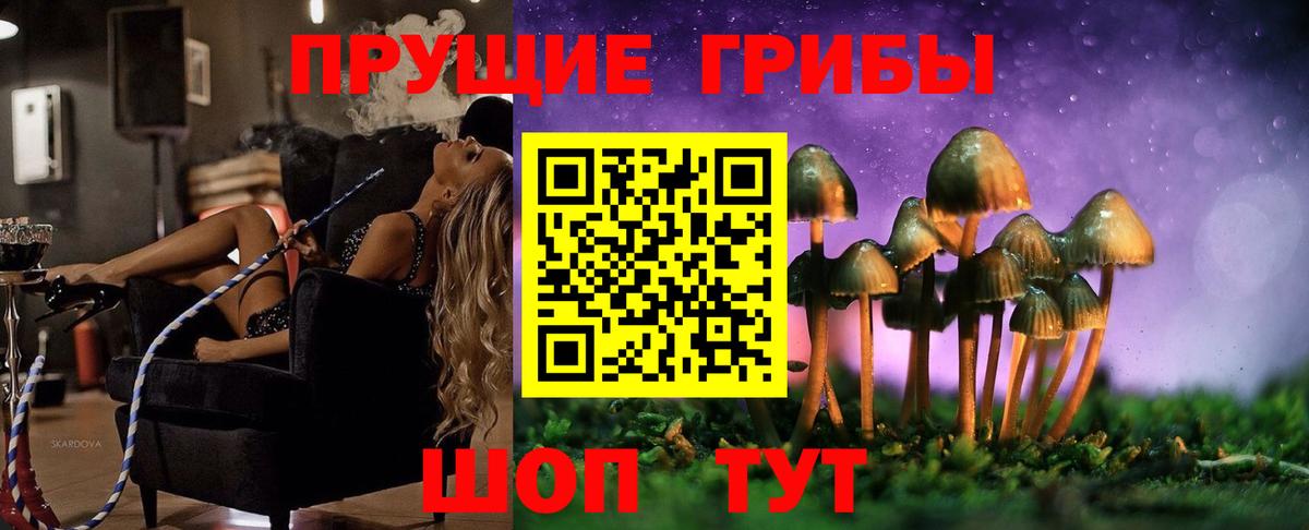 Псилоцибиновые грибы прущие грибы  где найти наркотики  Еманжелинск  Вход с VPN 